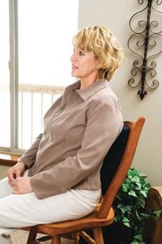 Picture of Carex Lumbar Support Cushion