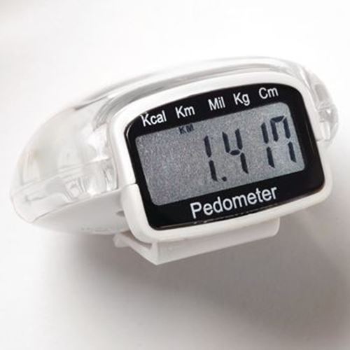 Picture of Pisces Economy Pedometer with Clip