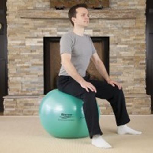 Picture of Norco Exercise Ball Kit