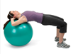 Picture of Norco Exercise Ball Kit