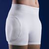 Picture of Safehip Soft Hip Protector Unisex