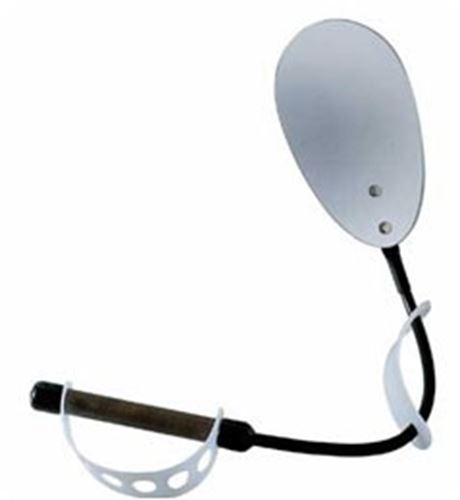Picture of Flexible Inspection Mirror