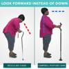Picture of Posture Cane