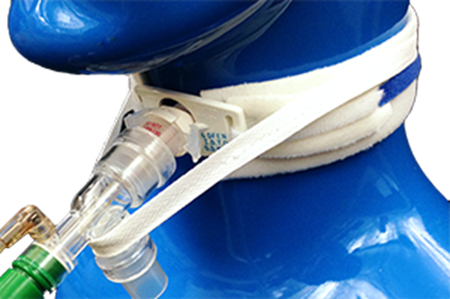 Picture of VENT-TIE® Adult Trach Tube Holder with Ventilator Anti-Disconnect Device - 20 per Box