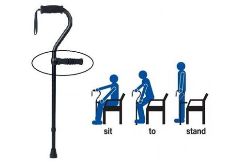 Picture of Lifting Handle Standing Aid for Cane