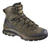 Picture of Salomon Men's Quest 4D 3 GORE-TEX Hiking Boots - Wren - Size 13