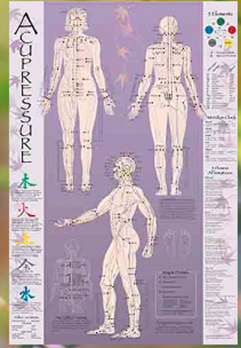 Pisces Healthcare Solutions. Acupressure Point Chart Laminated