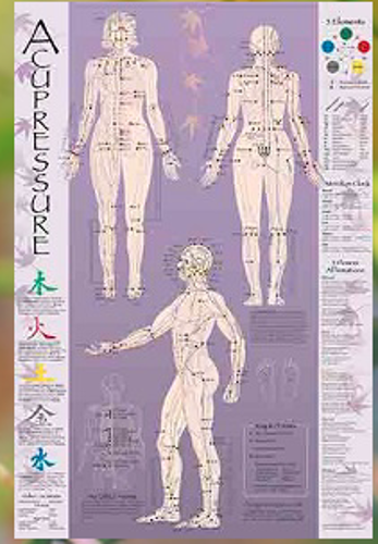 Picture of Acupressure Point Chart – Laminated