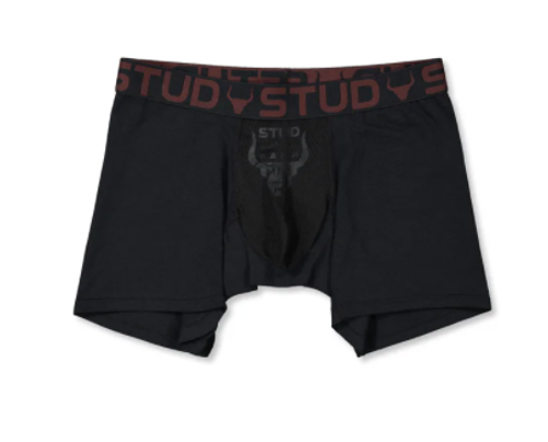 Stud Briefs (Briefs) Varicocele and Fertility Underwear