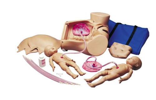 Picture of Birthing Simulator