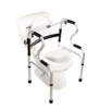 Picture of 5-IN-1 MOBILITY / BATH AID