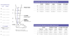 Picture of Compreflex Standard Calf & Foot, 20-50 mmHg- Regular