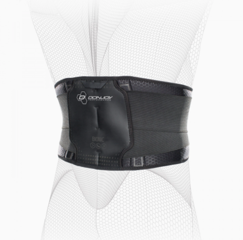 Picture of Bionic Back Support