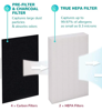 Picture of 2 Pack R True HEPA Replacement Filter