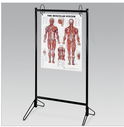 Picture of Portable Chart Stand