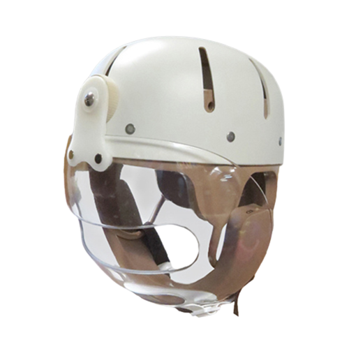 Picture of Hard Shell Helmet with Face Guard