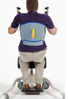 Picture of Universal Sit to Stand Padded Patient Lift Sling