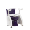 Picture of DL2 Deluxe Toilet Lift
