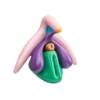 Picture of Female Clitoral and Vaginal Models
