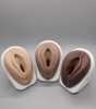 Picture of Female Clitoral and Vaginal Models