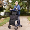 Picture of UPWalker EZ Lite