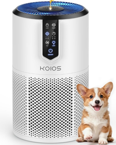 Picture of Air Purifier 